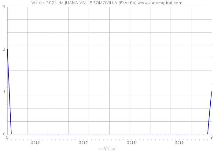 Visitas 2024 de JUANA VALLE SOMOVILLA (España) 