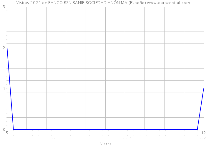 Visitas 2024 de BANCO BSN BANIF SOCIEDAD ANÓNIMA (España) 