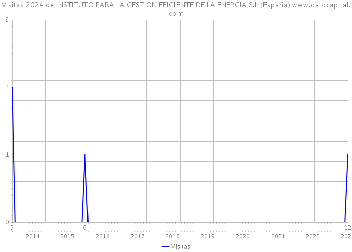 Visitas 2024 de INSTITUTO PARA LA GESTION EFICIENTE DE LA ENERGIA S.L (España) 