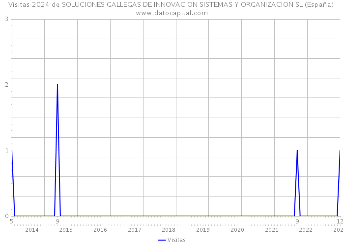 Visitas 2024 de SOLUCIONES GALLEGAS DE INNOVACION SISTEMAS Y ORGANIZACION SL (España) 