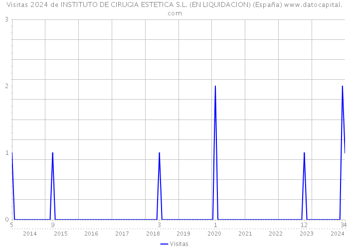 Visitas 2024 de INSTITUTO DE CIRUGIA ESTETICA S.L. (EN LIQUIDACION) (España) 