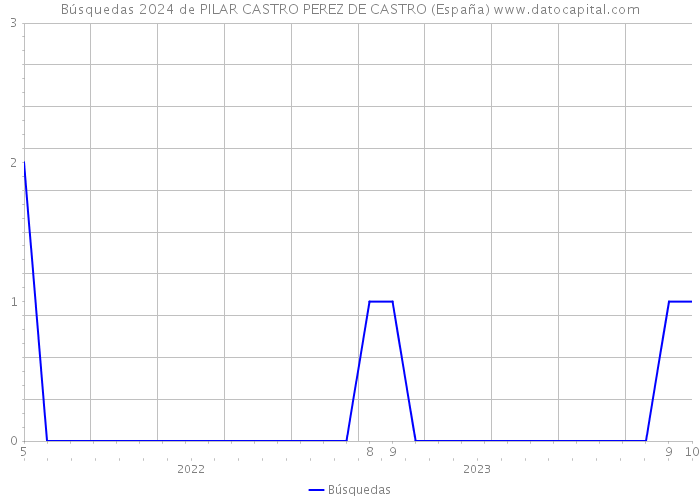 Búsquedas 2024 de PILAR CASTRO PEREZ DE CASTRO (España) 