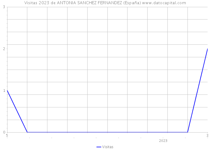 Visitas 2023 de ANTONIA SANCHEZ FERNANDEZ (España) 
