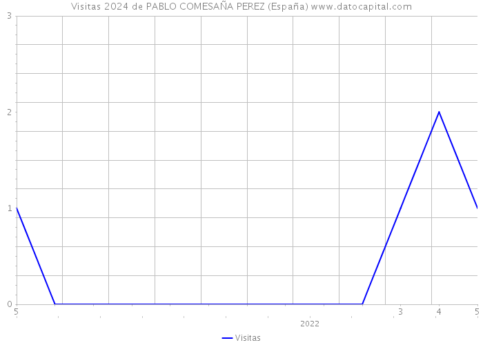 Visitas 2024 de PABLO COMESAÑA PEREZ (España) 