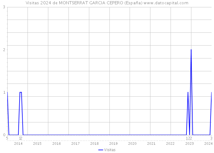 Visitas 2024 de MONTSERRAT GARCIA CEPERO (España) 