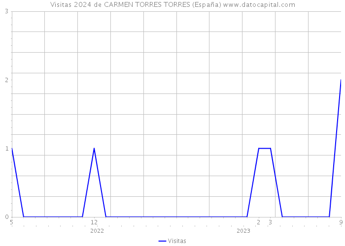 Visitas 2024 de CARMEN TORRES TORRES (España) 