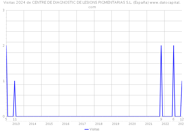 Visitas 2024 de CENTRE DE DIAGNOSTIC DE LESIONS PIGMENTARIAS S.L. (España) 
