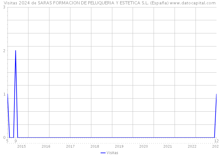 Visitas 2024 de SARAS FORMACION DE PELUQUERIA Y ESTETICA S.L. (España) 