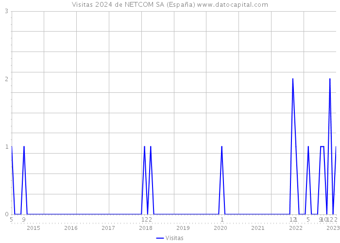 Visitas 2024 de NETCOM SA (España) 