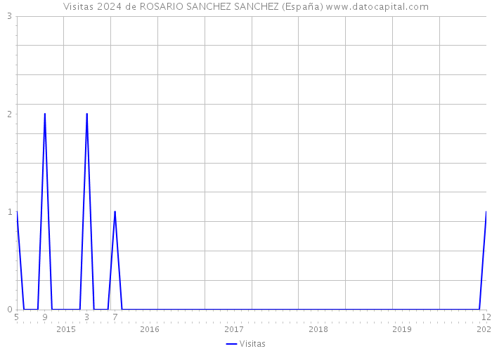 Visitas 2024 de ROSARIO SANCHEZ SANCHEZ (España) 