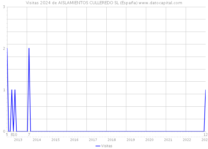 Visitas 2024 de AISLAMIENTOS CULLEREDO SL (España) 