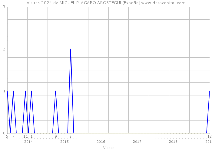 Visitas 2024 de MIGUEL PLAGARO AROSTEGUI (España) 