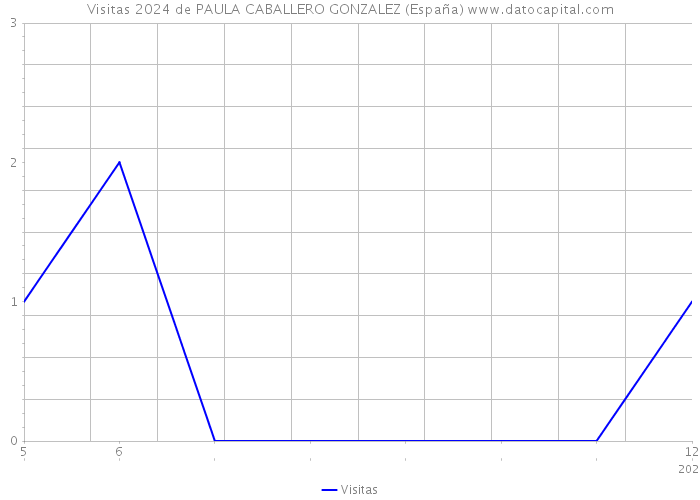 Visitas 2024 de PAULA CABALLERO GONZALEZ (España) 