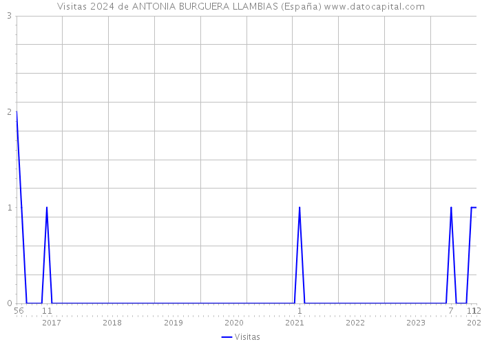 Visitas 2024 de ANTONIA BURGUERA LLAMBIAS (España) 