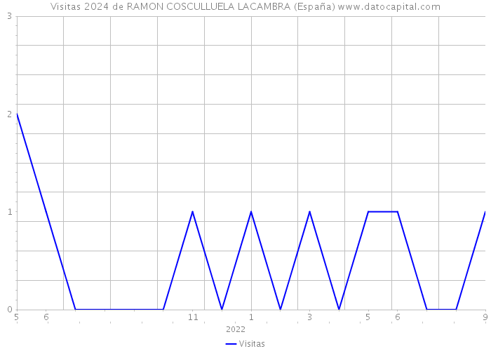 Visitas 2024 de RAMON COSCULLUELA LACAMBRA (España) 