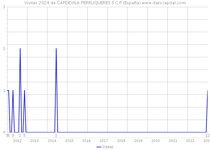 Visitas 2024 de CAPDEVILA PERRUQUERES S C P (España) 