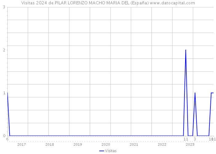 Visitas 2024 de PILAR LORENZO MACHO MARIA DEL (España) 