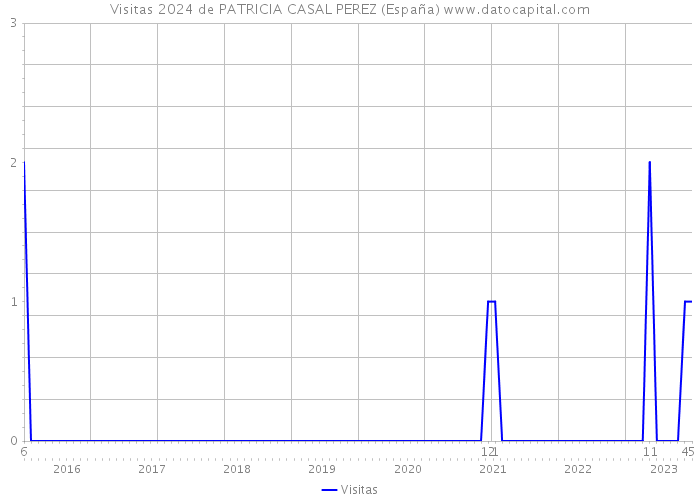 Visitas 2024 de PATRICIA CASAL PEREZ (España) 