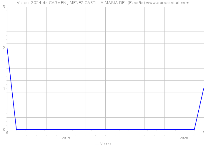 Visitas 2024 de CARMEN JIMENEZ CASTILLA MARIA DEL (España) 