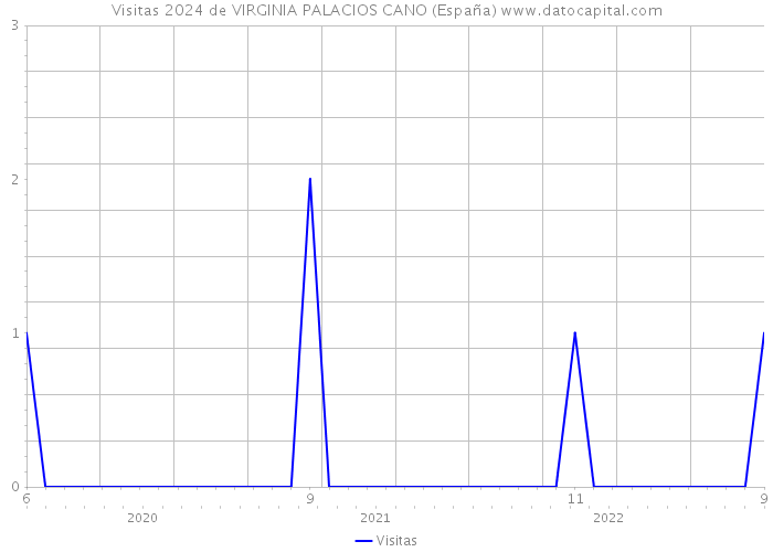Visitas 2024 de VIRGINIA PALACIOS CANO (España) 