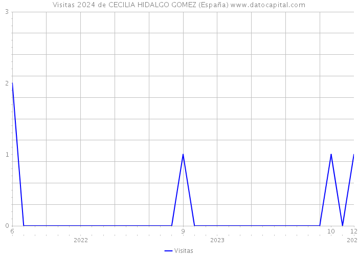 Visitas 2024 de CECILIA HIDALGO GOMEZ (España) 