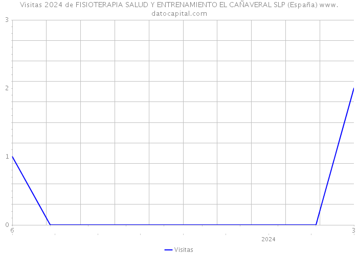 Visitas 2024 de FISIOTERAPIA SALUD Y ENTRENAMIENTO EL CAÑAVERAL SLP (España) 