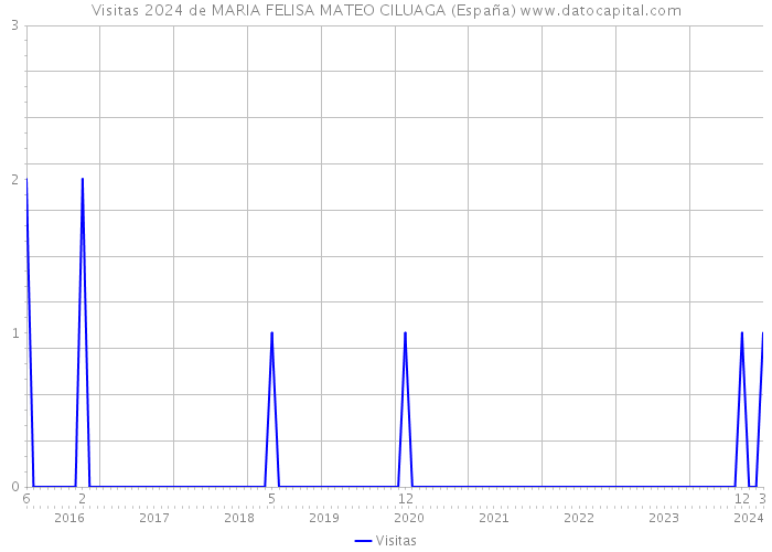 Visitas 2024 de MARIA FELISA MATEO CILUAGA (España) 