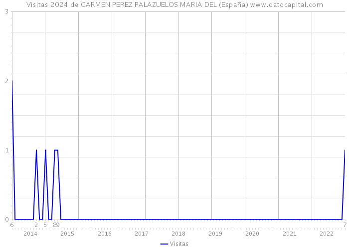 Visitas 2024 de CARMEN PEREZ PALAZUELOS MARIA DEL (España) 