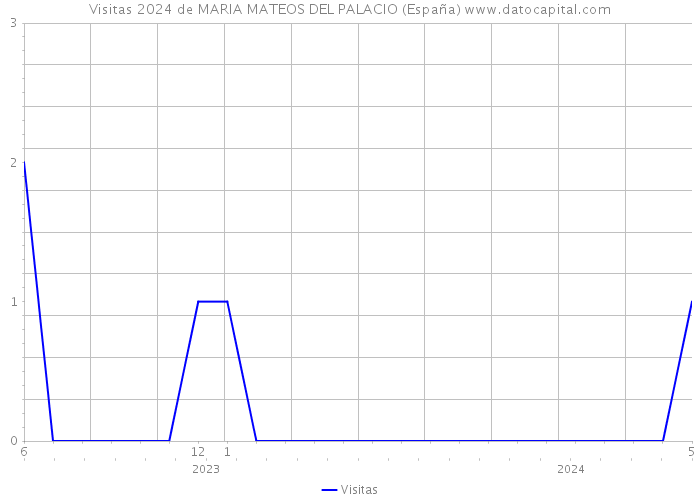 Visitas 2024 de MARIA MATEOS DEL PALACIO (España) 
