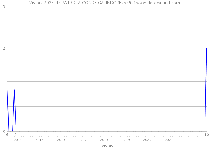 Visitas 2024 de PATRICIA CONDE GALINDO (España) 