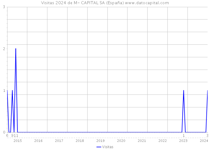 Visitas 2024 de M- CAPITAL SA (España) 