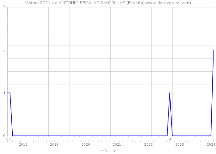 Visitas 2024 de ANTONIO REGALADO MORILLAS (España) 