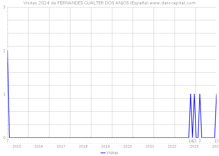Visitas 2024 de FERNANDES GUALTER DOS ANJOS (España) 