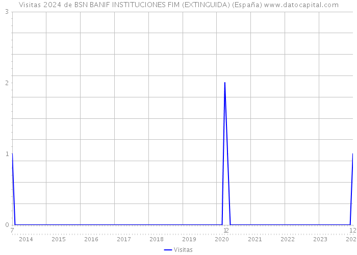Visitas 2024 de BSN BANIF INSTITUCIONES FIM (EXTINGUIDA) (España) 