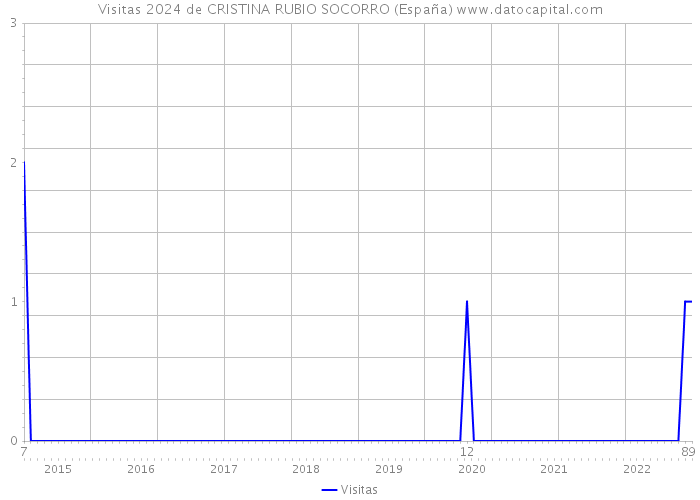Visitas 2024 de CRISTINA RUBIO SOCORRO (España) 