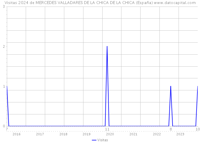 Visitas 2024 de MERCEDES VALLADARES DE LA CHICA DE LA CHICA (España) 