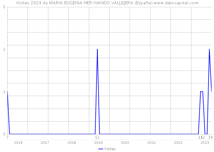 Visitas 2024 de MARIA EUGENIA HER-NANDO VALLEJERA (España) 