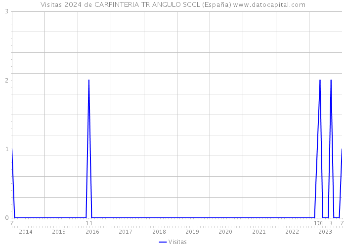 Visitas 2024 de CARPINTERIA TRIANGULO SCCL (España) 