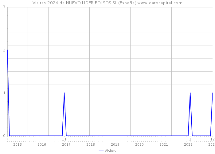 Visitas 2024 de NUEVO LIDER BOLSOS SL (España) 