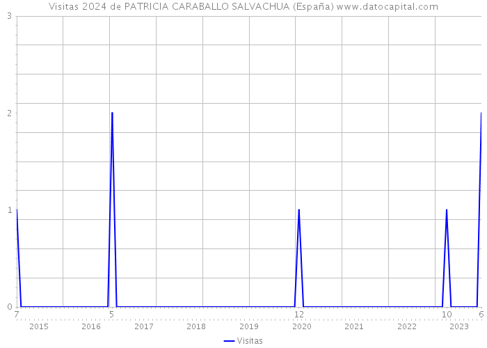 Visitas 2024 de PATRICIA CARABALLO SALVACHUA (España) 