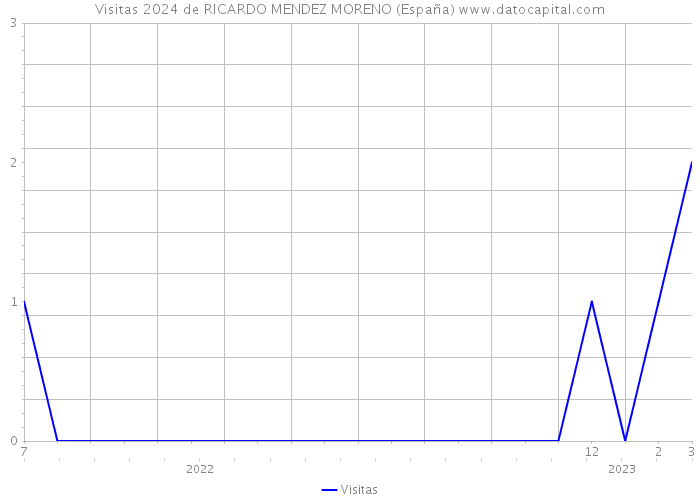 Visitas 2024 de RICARDO MENDEZ MORENO (España) 