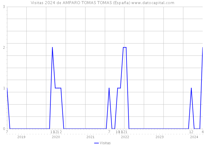 Visitas 2024 de AMPARO TOMAS TOMAS (España) 