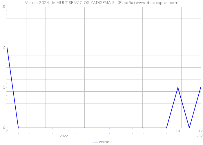 Visitas 2024 de MULTISERVICIOS YADISEMA SL (España) 