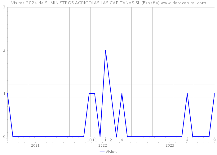 Visitas 2024 de SUMINISTROS AGRICOLAS LAS CAPITANAS SL (España) 