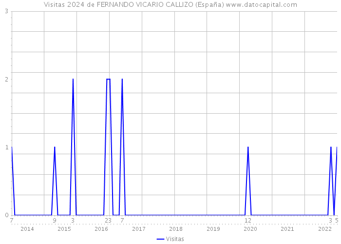 Visitas 2024 de FERNANDO VICARIO CALLIZO (España) 
