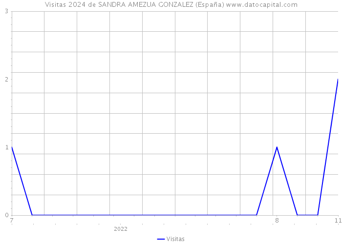 Visitas 2024 de SANDRA AMEZUA GONZALEZ (España) 