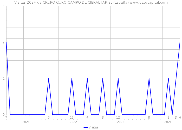 Visitas 2024 de GRUPO GURO CAMPO DE GIBRALTAR SL (España) 