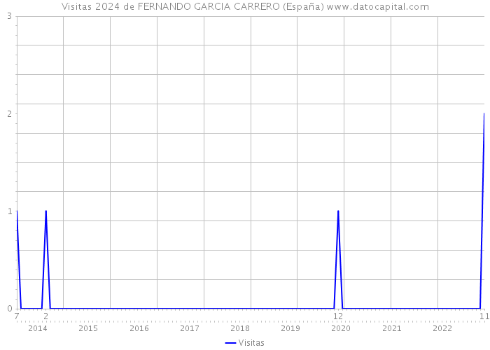 Visitas 2024 de FERNANDO GARCIA CARRERO (España) 