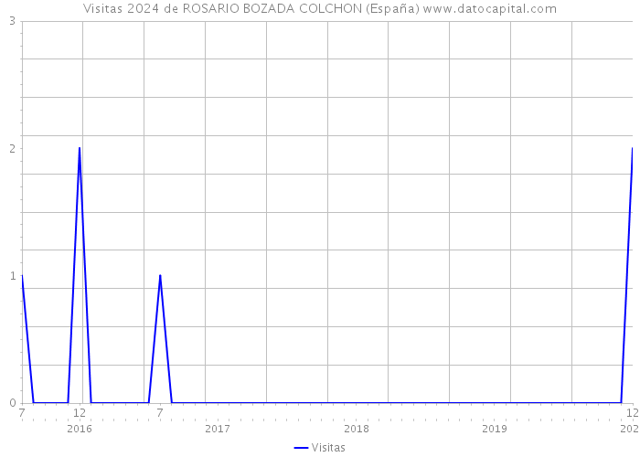 Visitas 2024 de ROSARIO BOZADA COLCHON (España) 
