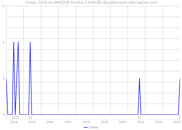 Visitas 2024 de AMADOR AGUILA CANALES (España) 
